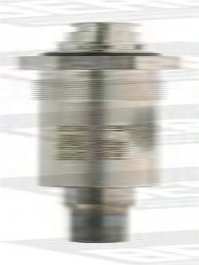 BORGWARNER (BERU) GE101 Candeletta di accensione/incendio