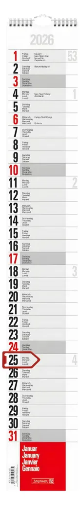 Calendrier à Bandes 13x83cm Format Étroit 1 Mois par Page Brunnen