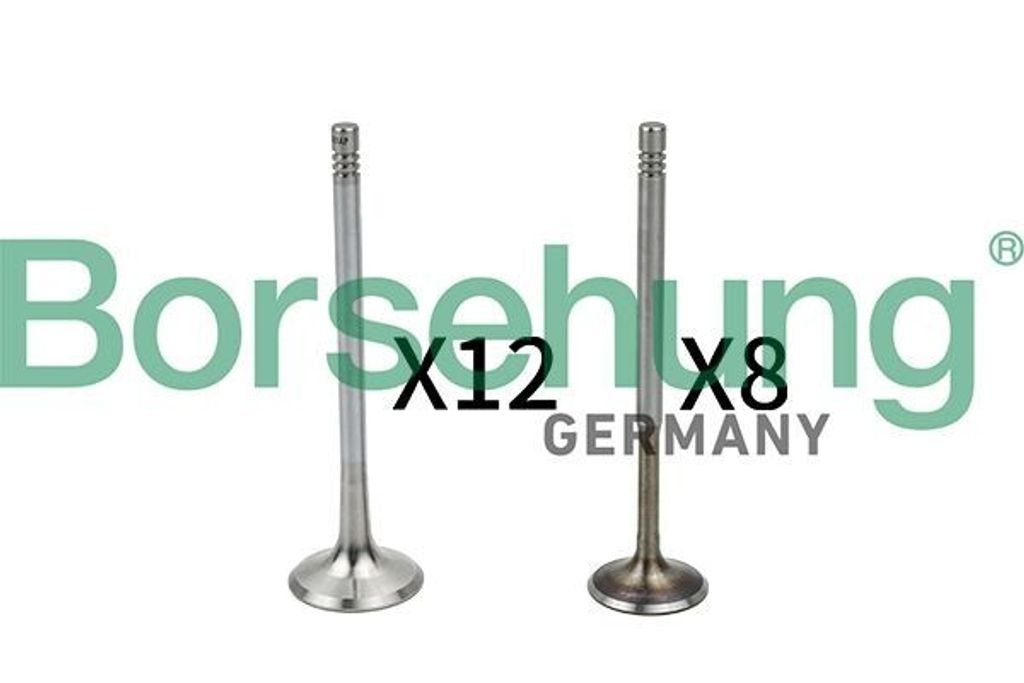 Borsehung Ventil B18635 für VW Golf IV Schrägheck (1J1)