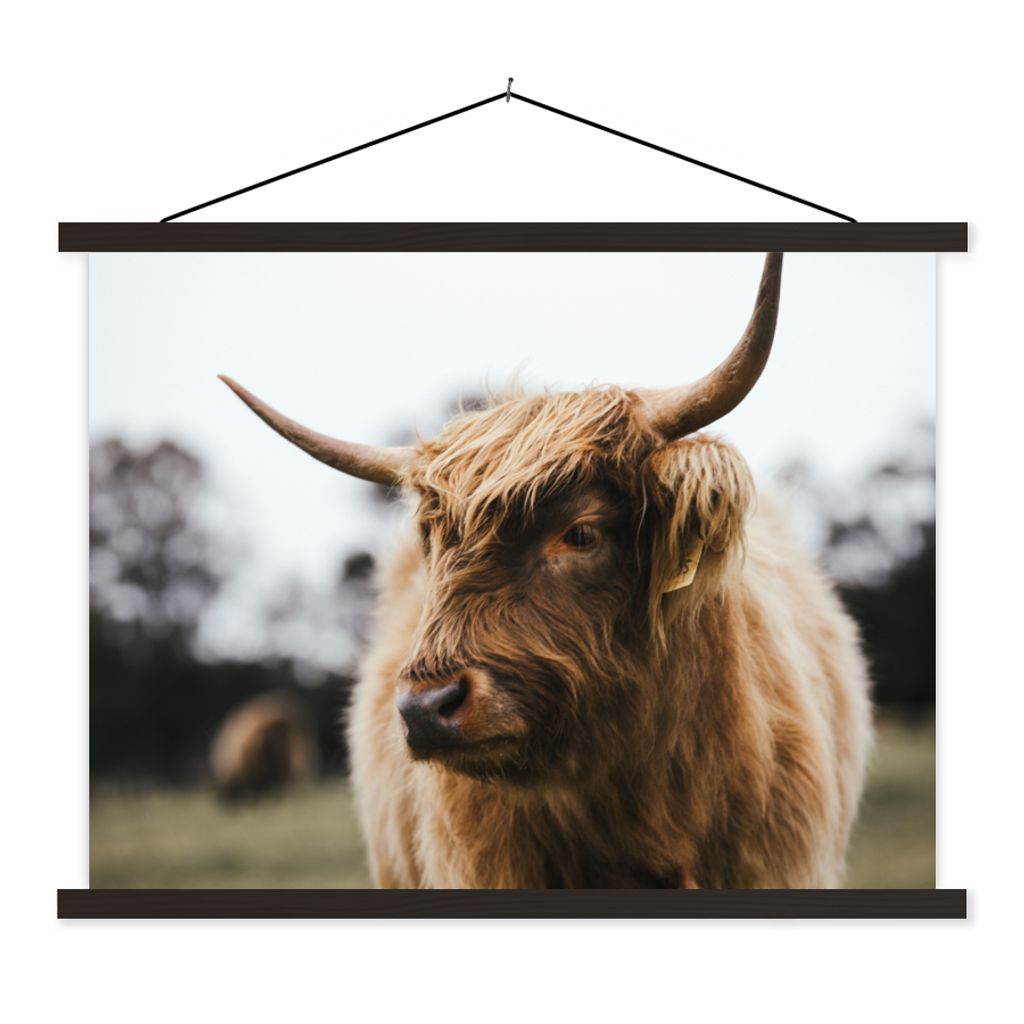 MuchoWow Textilposter Schottischer Highlander - Tiere - Hörner 120x90 cm mit schwarzem Rahmen - Aufhänger für Poster