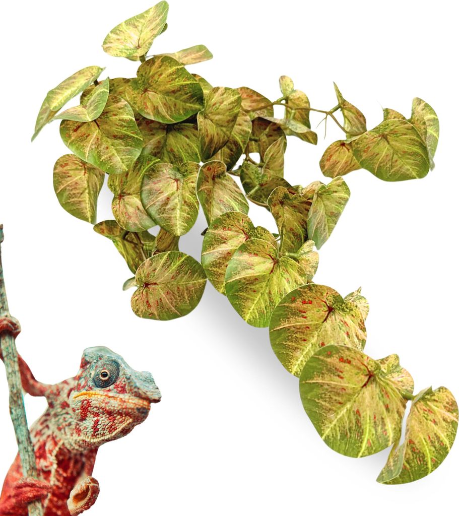 BioBush No8 künstliche tropische Pflanze für Terrarien Pilea