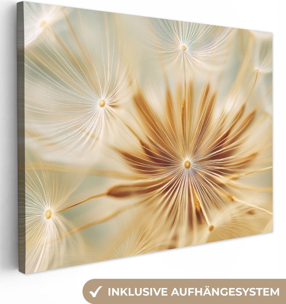 Leinwand Bilder 40x30 cm - Blumen - Löwenzahn - Abstrakt - Beige, Wandbilder, Wanddeko Wohnzimmer, Bild