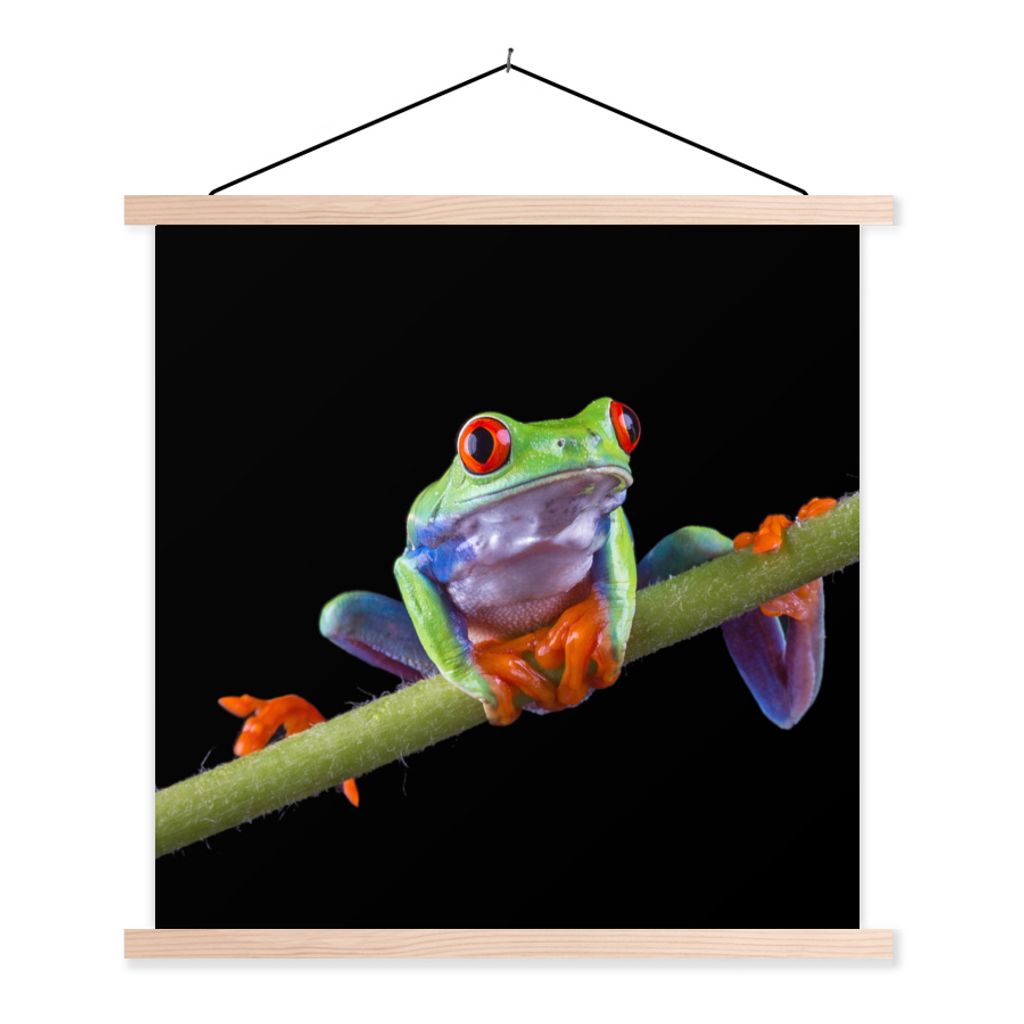MuchoWow Textilposter Frosch - Pflanze - Schwarz 120x120 cm mit holzfarbenen Rahmen - Textil-Poster