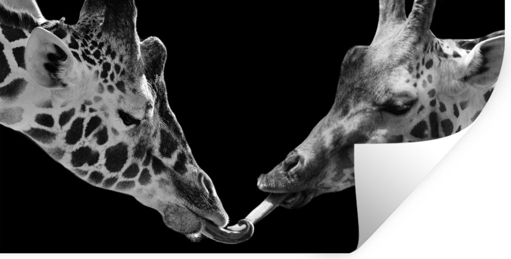 MuchoWow Wandtattoo Wandsticker Wandaufkleber Tiere - Schwarz - Giraffe - Weiß - Porträt 40x20 cm Selbstklebend und Repositionierbar - Aufkleber