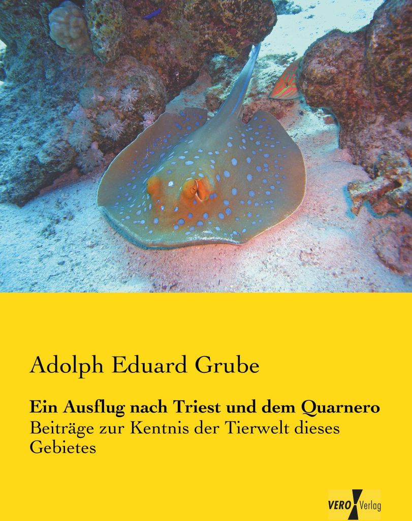 Ein Ausflug nach Triest und dem Quarnero