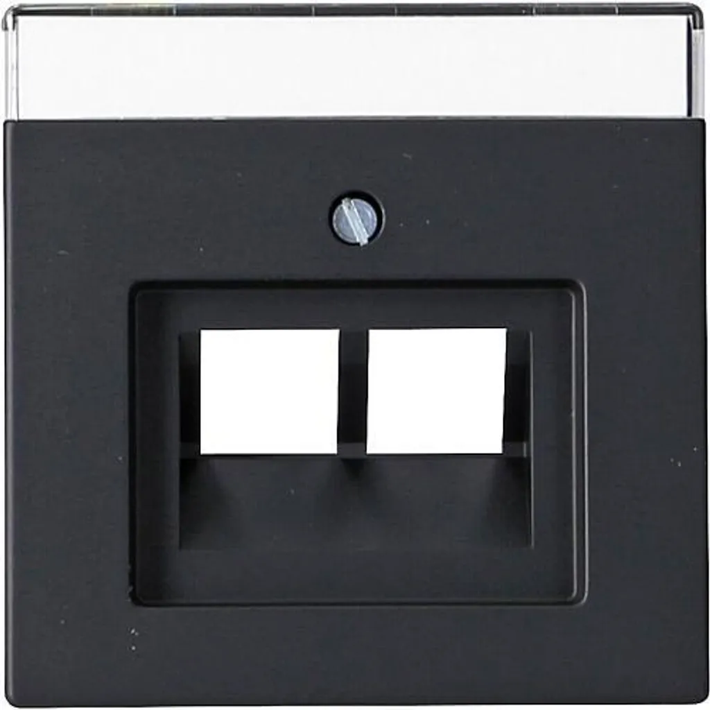 Plaque Centrale pour Prise UAE IAE 2 Sorties Future Linear Noir Mat - 3