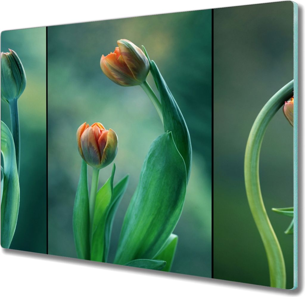 Coloray Hackbrett Herdabdeckplatte 60x52 cm Küchenbrett Kochplattenabdeckung Schneidebrett - Blumen Pflanzen Tulpen