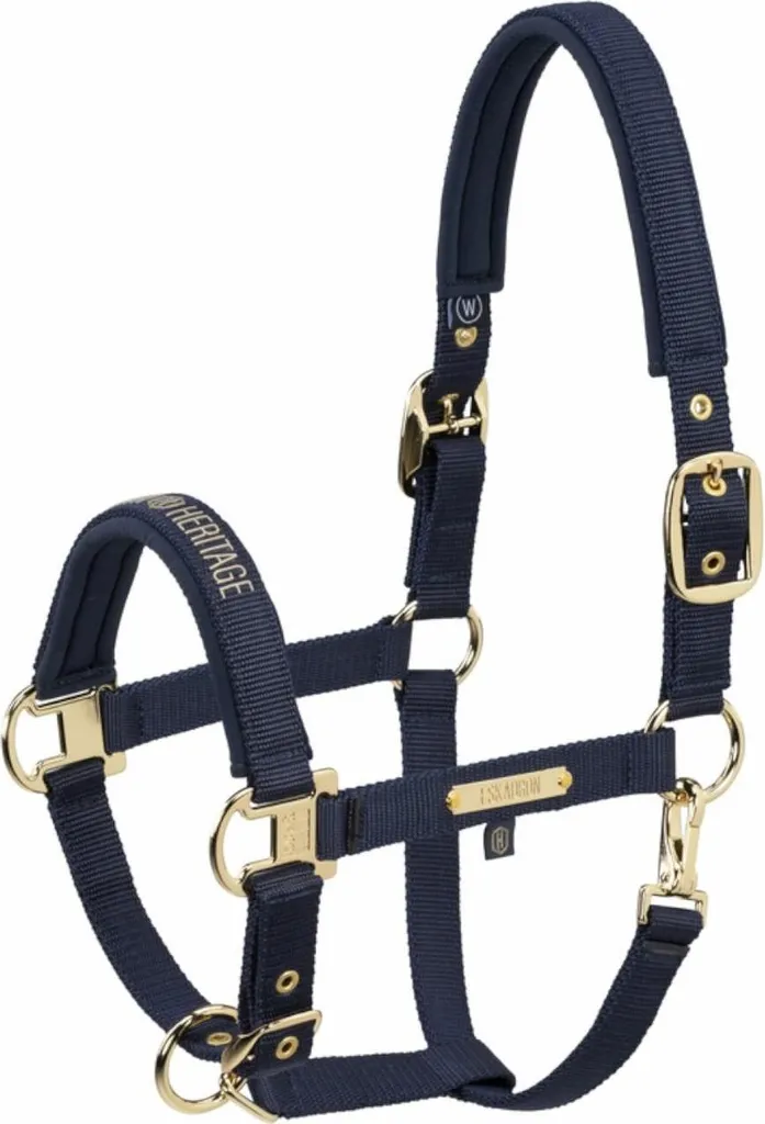 Eskadron Heritage 25/26 Guaina a doppio perno