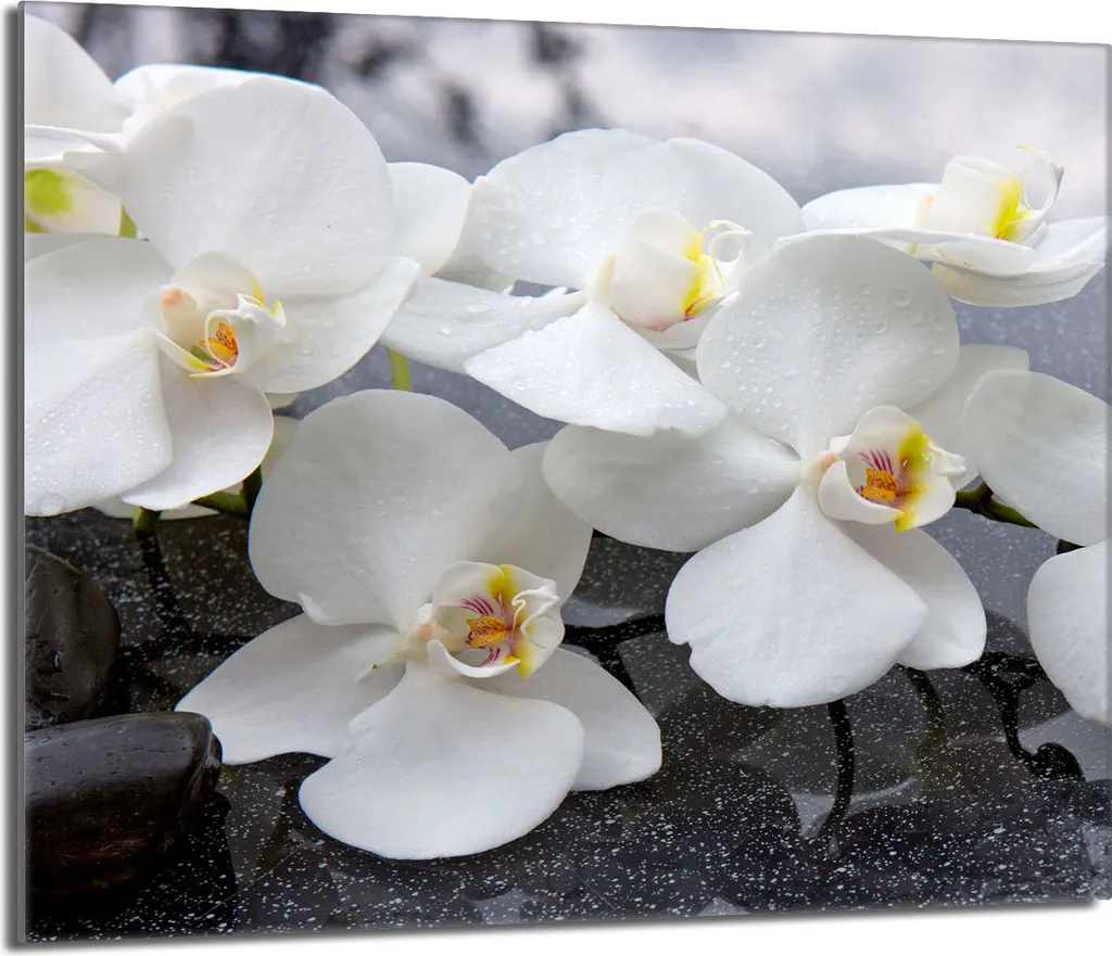 Tagliere Vetro 60x52 Copri Fornelli Induzione Bianco Orchidea