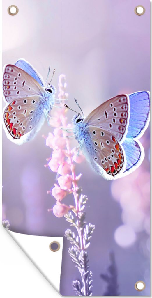 MuchoWow 40x80 cm Outdoor-Poster Gartendeko Sichtschutz Garten Poster für den Garten Schmetterling - Lavendel - Blumen - Lila