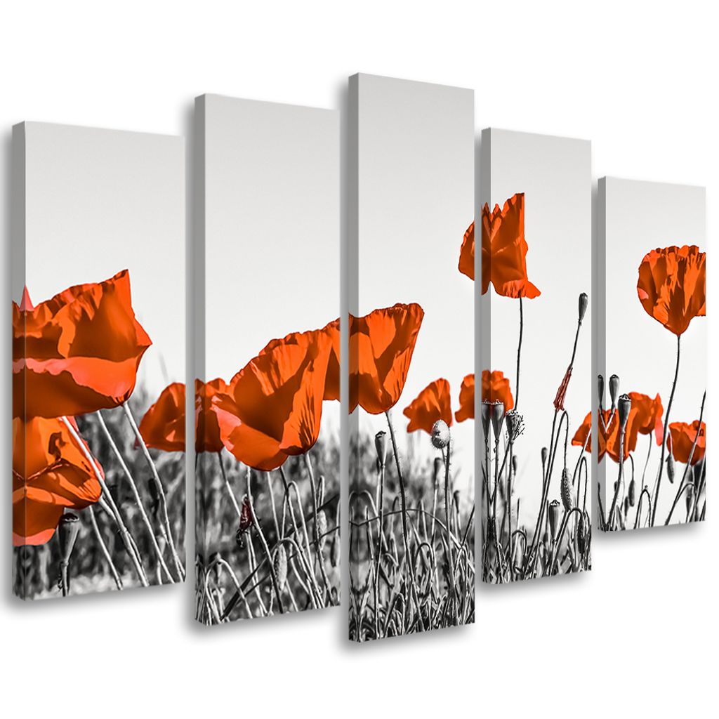 5-teiliges leinwandbild roter klatschmohn 150x100 cm Feeby rot wandbild bereit zum aufhängen