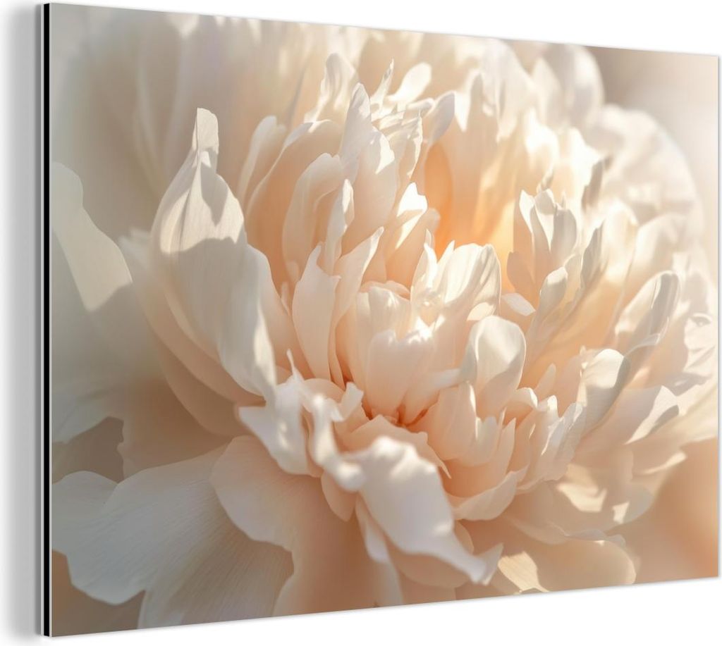 MuchoWow Wanddekoration Metall Metallbild Wandkunst 150x100 cm Nahaufnahme - Pfingstrose - Hellrosa MuchoWow Aluminium Gemälde - Alu Dibond Bild