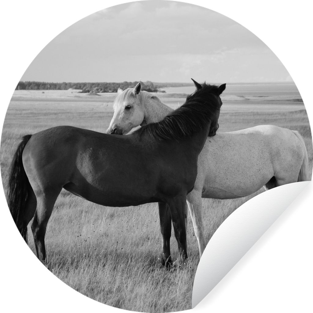 MuchoWow Runde Wandtattoo - Wandsticker Tapete Aufkleber Pferde - Tiere - Porträt - Schwarz-Weiß - Landleben Ø 50 cm Selbstklebend und Reposit...
