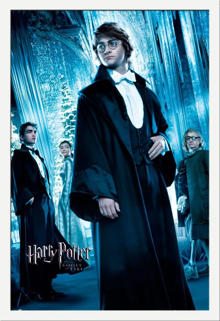 Harry Potter - Poster - Harry Ball + cornice rimovibile, Shinsuke® Maxi MDF bianco, disco acrilico