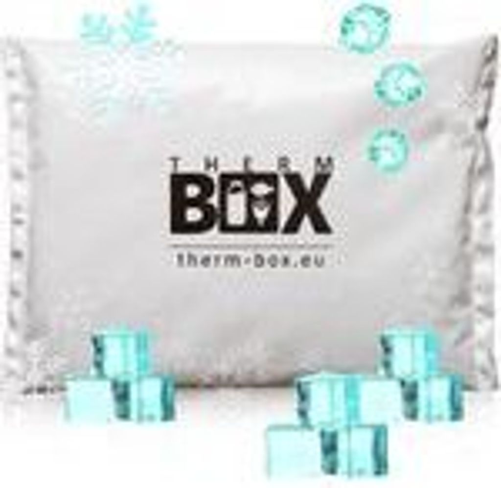THERM-BOX Profi Kühlakku für Kühlbox Set 100 Stück Groß 450g Wiederverwendbar Kühlpad Kühlpack Kühlbeutel Kühlkissen