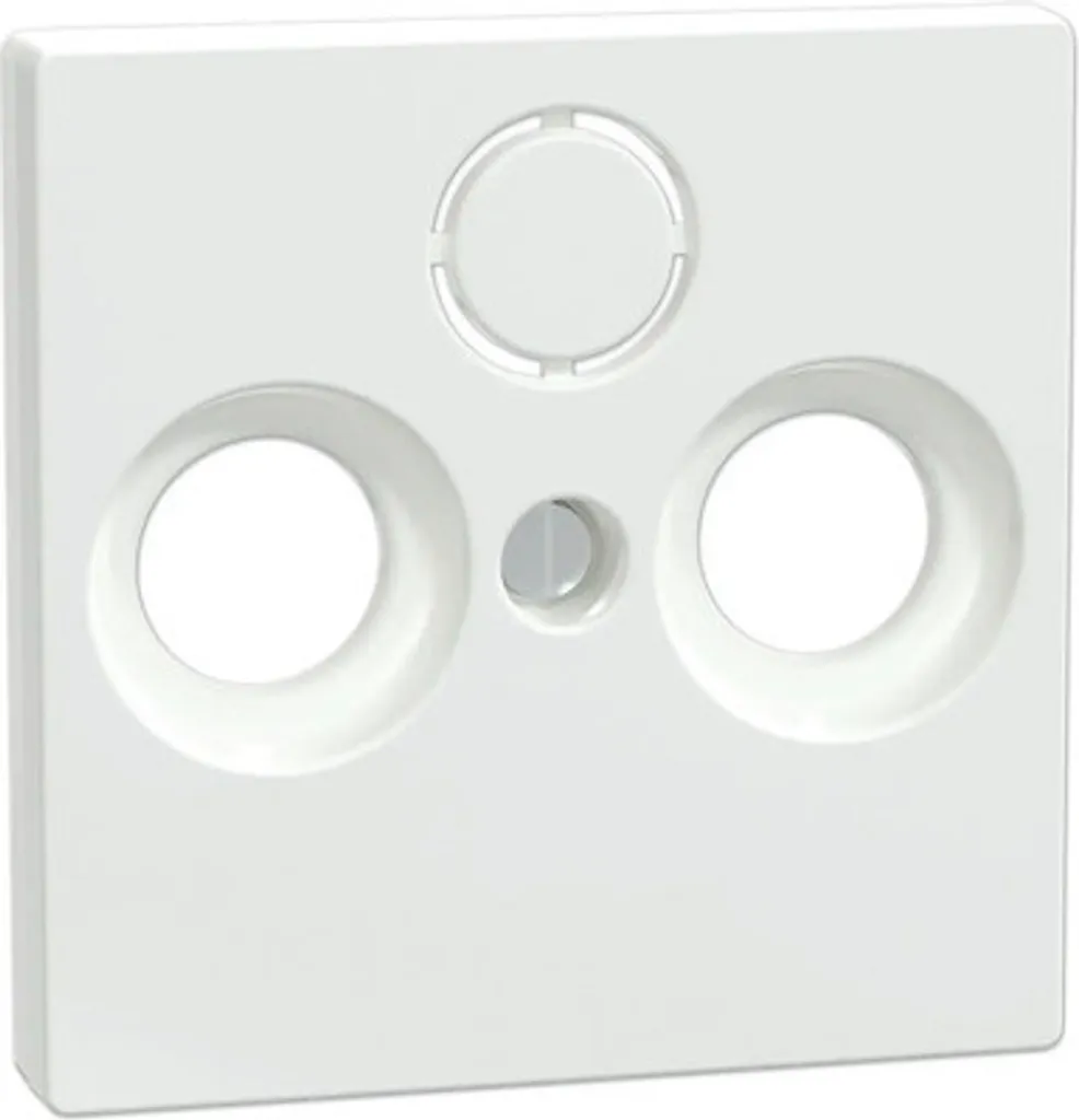 Plaque Interrupteur Merten 296725 pour Rénovation et Finition de Maison - 2