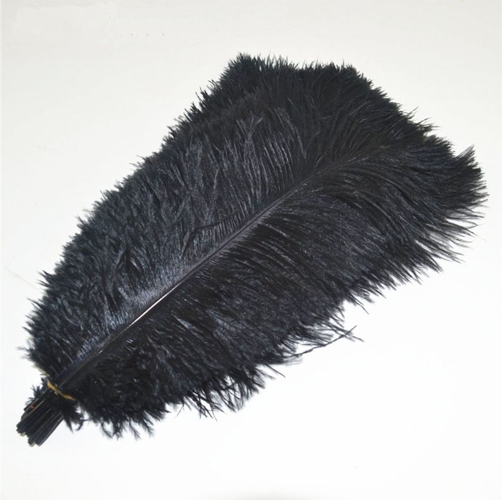 Pštrosí peří 20-25 cm, barva černá / 1ks Obrázek produktu 