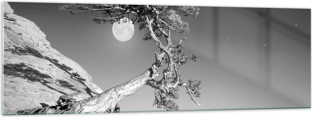 Bilder auf glas - Einteilig - Voll der Mond Baum - 160x50cm - Glasbilder - Wandbilder - Bilder - zum Aufhängen bereit - Wanddekoration aus Glas - ...