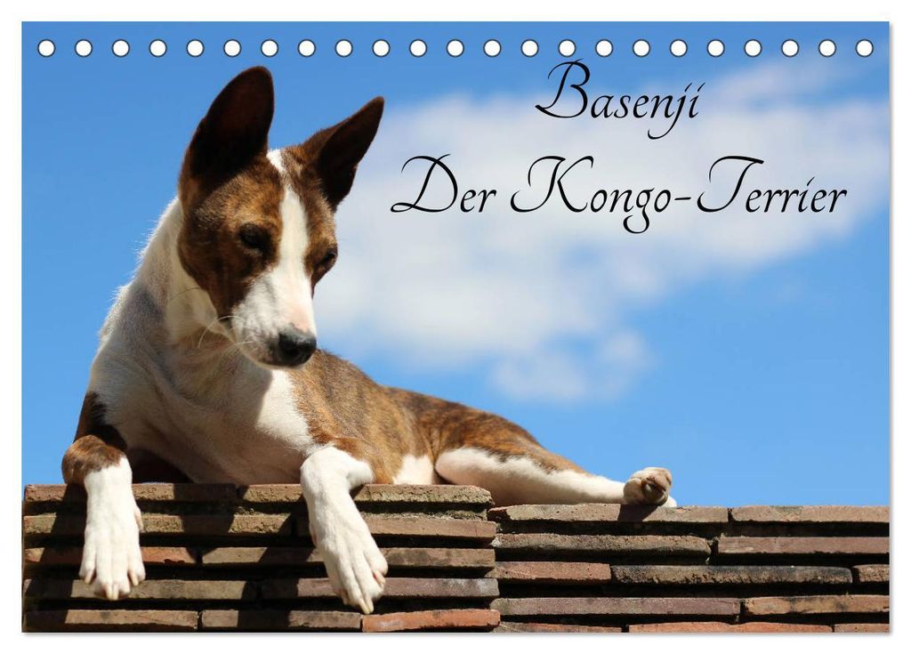 Basenji, der Kongo-Terrier (Tischkalender 2027 DIN A5 quer), CALVENDO Monatskalender