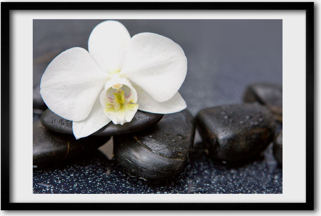 Bild 60x40 MDF-Rahmen, Wandkunst Orchidee