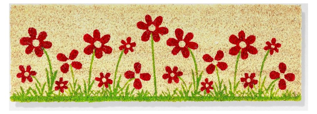 Fußmatte innen beige rutschfest – Kokosmatte antibakteriell strapazierfähig - Türmatte 25x75 cm