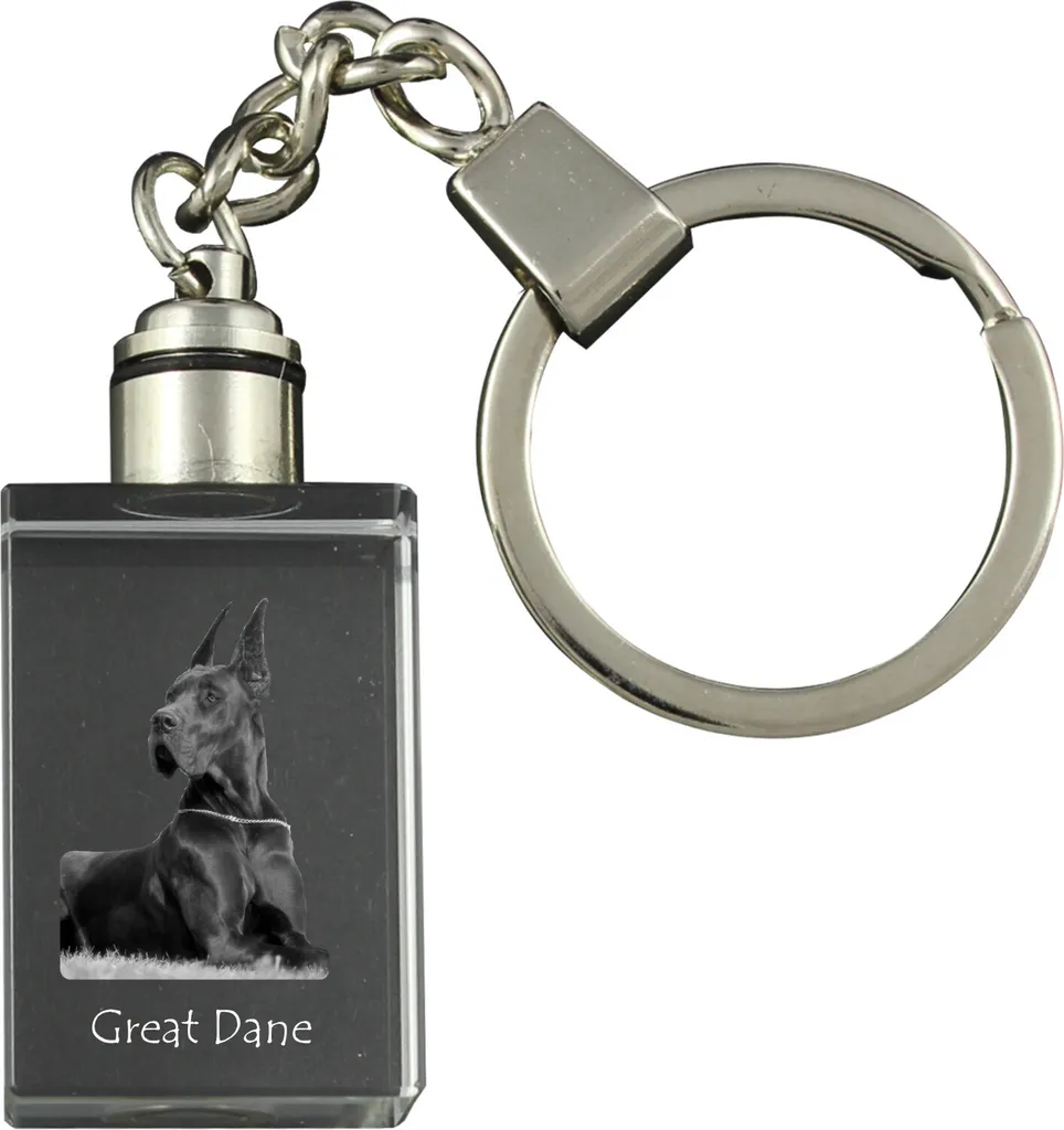 Offerta Portachiavi Cane Alano Cristallo LED - Alta Qualità Art-Dog