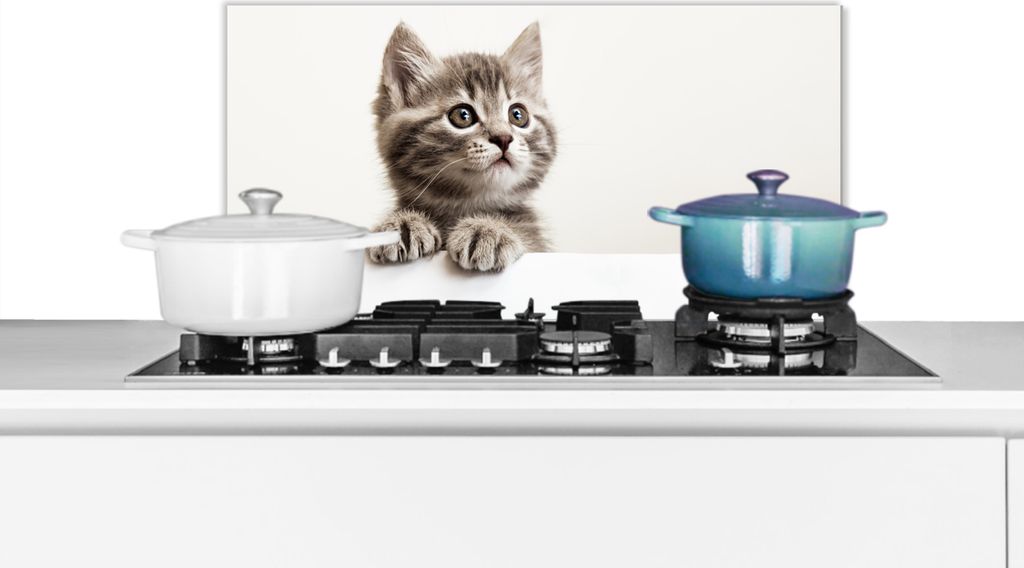 KitchenYeah Spritzschutz Küche - Küchenrückwand - Wandschutz für Herd und Spüle - Katze - Grau - Tiere 60x30 - Alu-Dibond (Alternative zum ...
