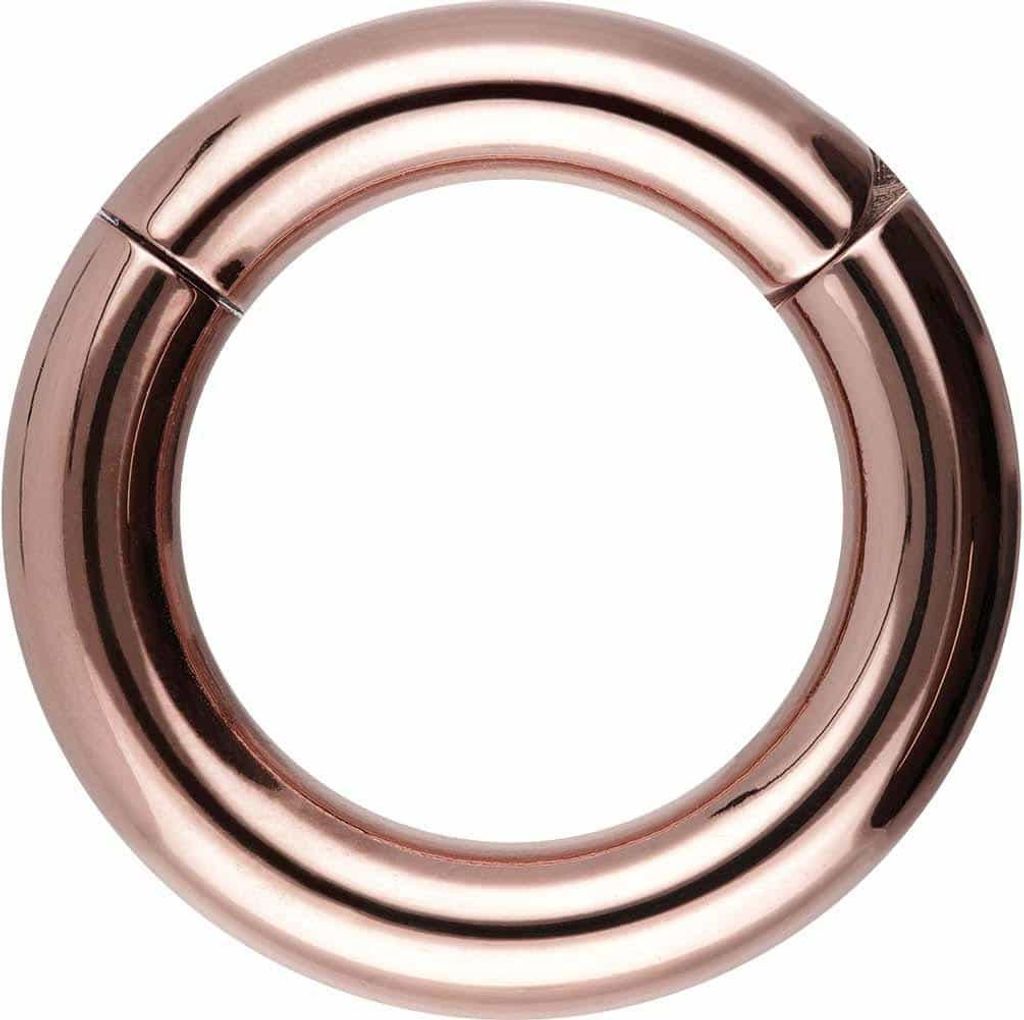 Ohrpiercing, Nasenpiercing, Septum Piercing Chirurgenstahl Segmentring Clicker RoséGold Innendurchmesser: 20mm + Stabstärke: 6mm
