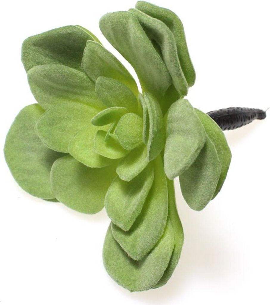 Echeveria Sukkulente künstlich Kunstpflanze Kunstblume grün ca.13cm Deko Kaktus