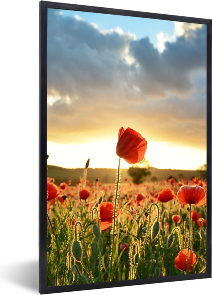 MuchoWow Gerahmtes Poster Bunter Himmel über vielen Mohnblumen 40x60 cm - Poster mit Schwarzem Bilderrahmen Wandposter Rahmen Foto Bilder - Papi...
