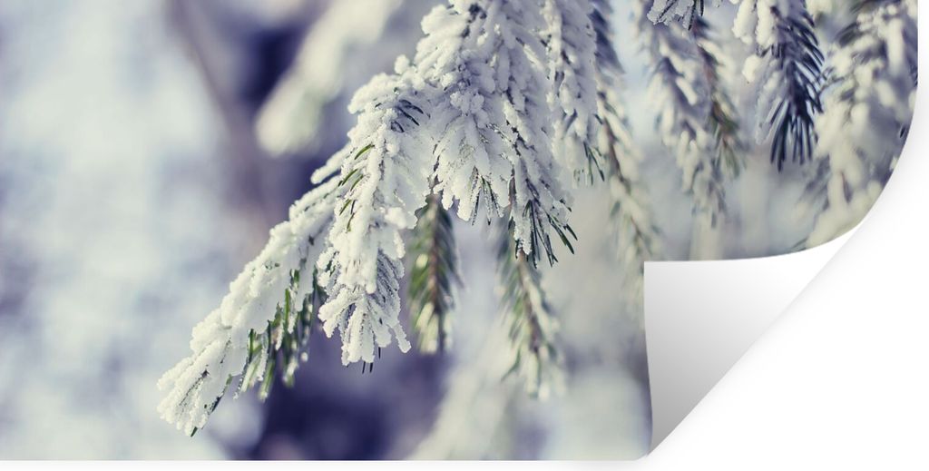 MuchoWow Wandtattoo Wandsticker Wandaufkleber Winter - Tannenbaum - Schnee - Ländlich 80x40 cm Selbstklebend und Repositionierbar - Aufkleber