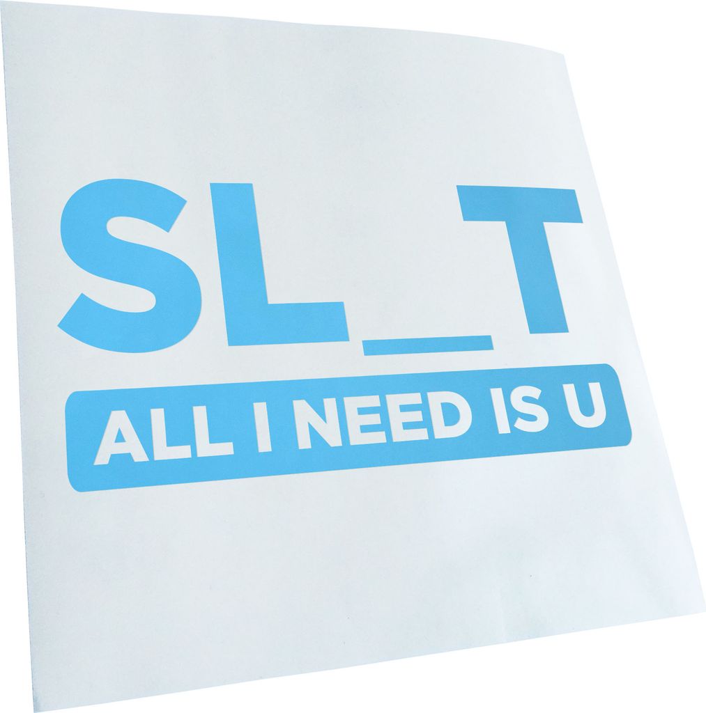 Kiwistar - Autoaufkleber - Slut all I need is you - Lichtblau - 24x12cm - Aufkleber für Auto, Laptop, Fahrrad, LKW, Motorrad mehrfarbig JDM Decal ...