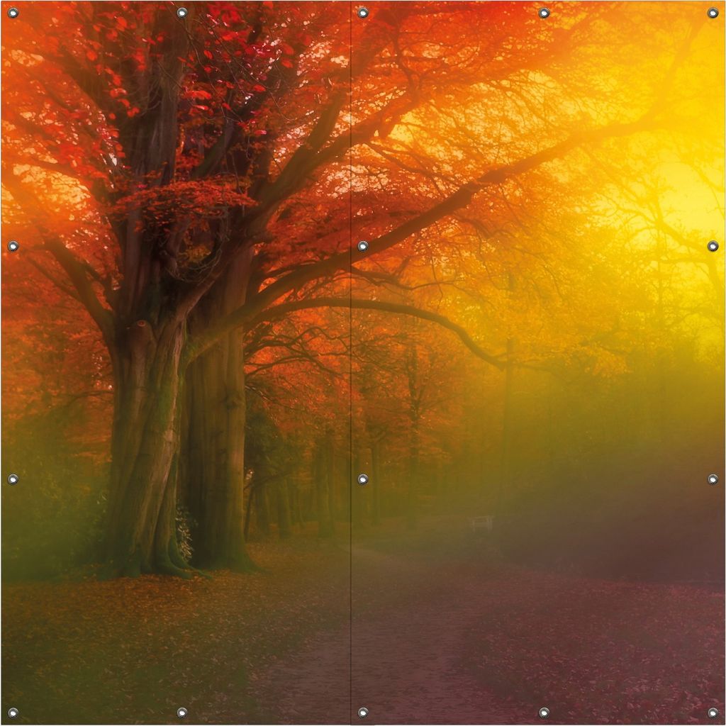 Wallario Outdoor-Poster für Garten oder Balkon, Motiv Bunter Herbst - Waldlandschaft bei Nebel in Regenbogenfarben, in ca. 180 x 180 cm