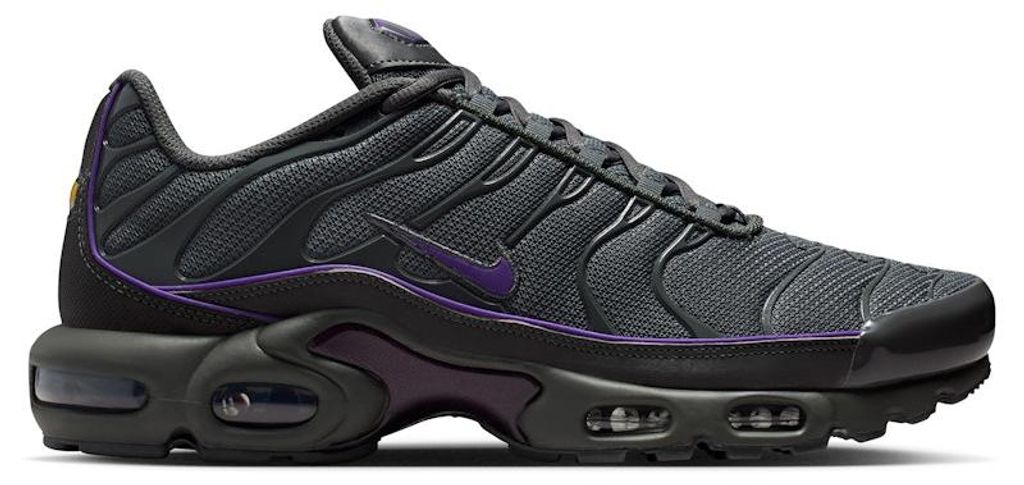 Nike Air Max Plus OG "Iron Grey Wild Grape" Grey, veľkosť: Obrázok produktu 