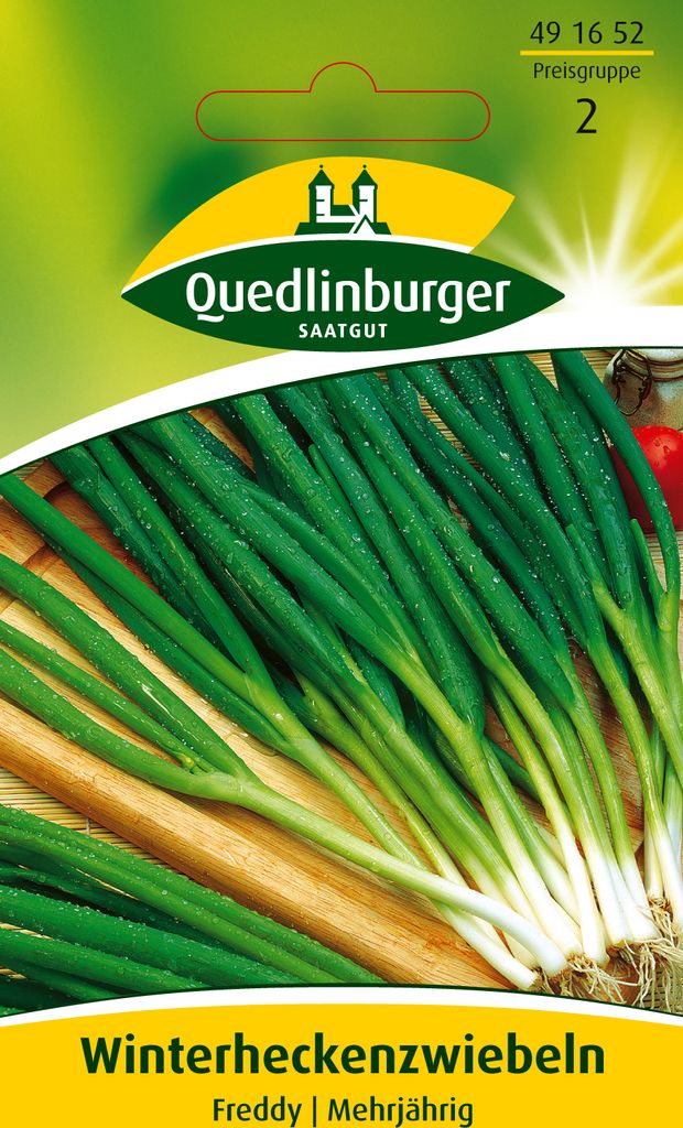 Quedlinburger Saatgut - Winterhecken-Zwiebeln Freddy - Produktbild 