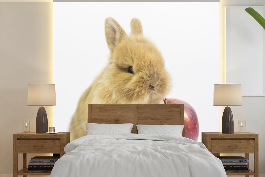 MuchoWow Fototapete für Wohnzimmer oder Schlafzimmer Wandtapete Vinyl Motivtapete Kaninchen - Baby - Apfel - 350x350 cm - Schlafzimmertapete