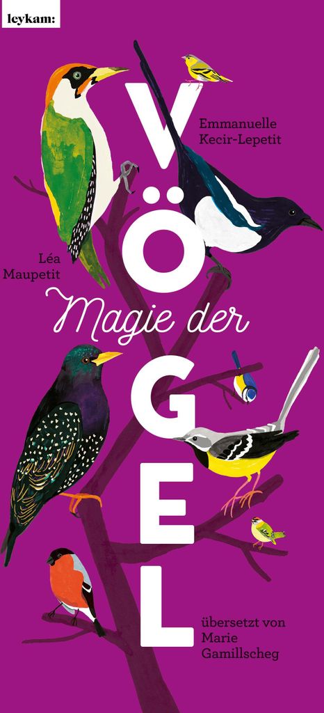 Magie der Vögel