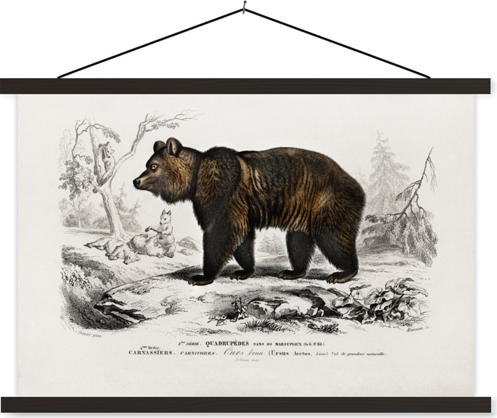 MuchoWow Textilposter Bär - Vintage - Tier 120x80 cm mit schwarzem Rahmen - Wanddeko