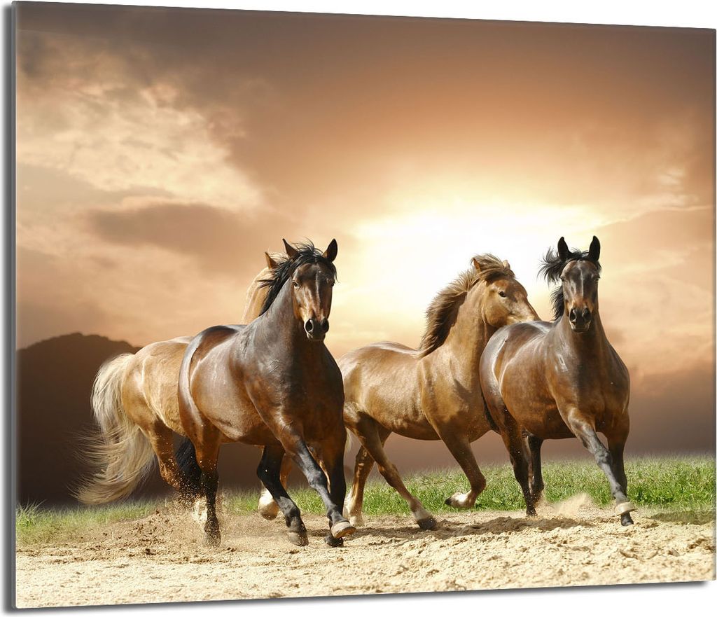 Glas-Herdplattenschutz 60x52 Pferde