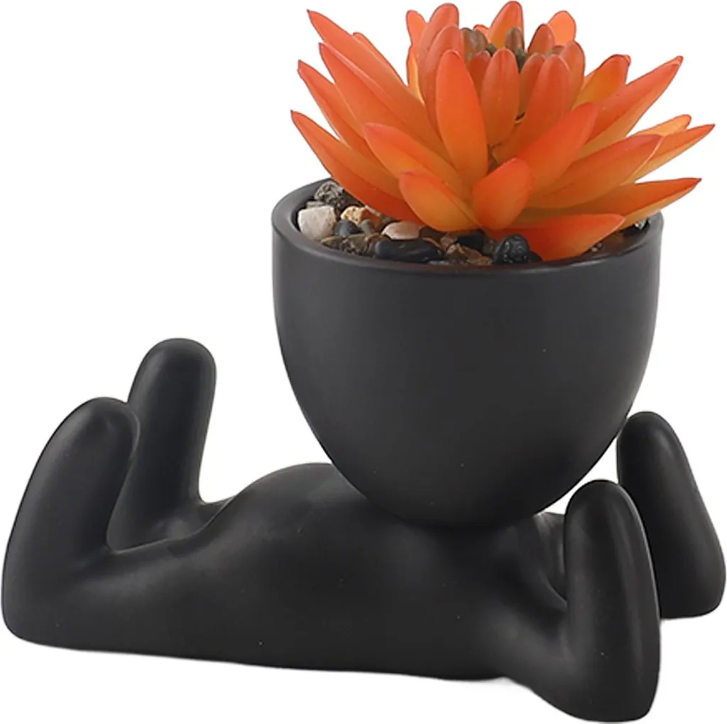 Pot à succulentes décoratif style scandinave en céramique de qualité