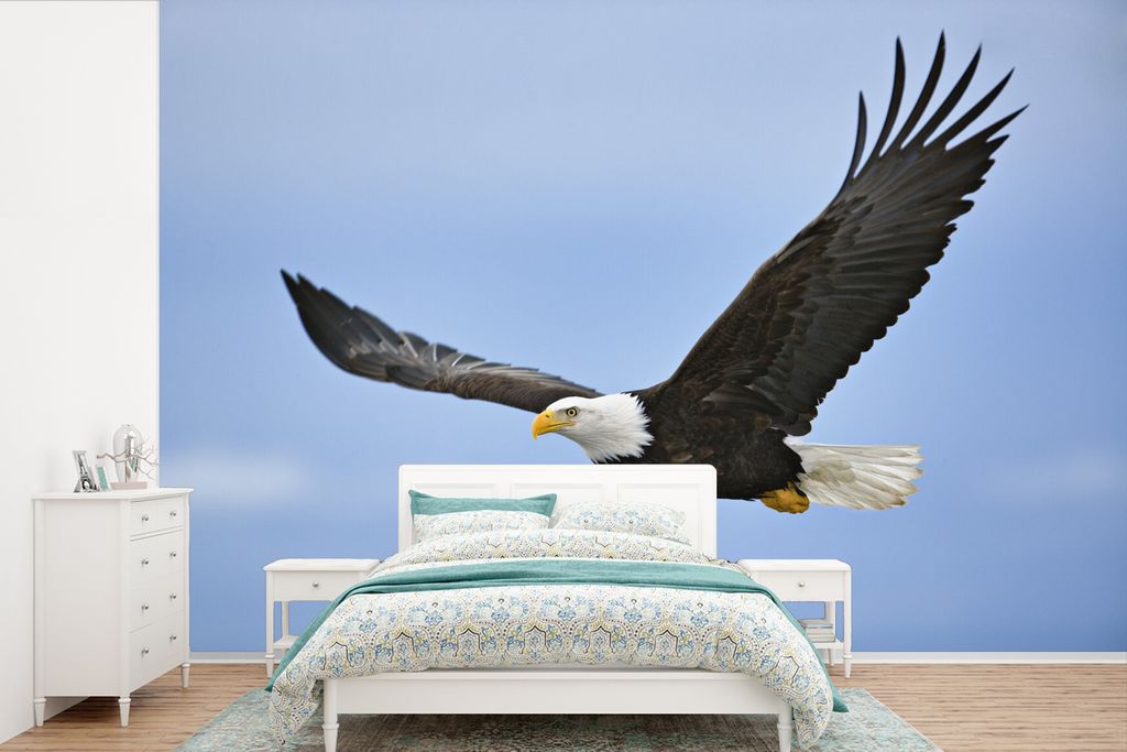 MuchoWow Fototapete für Wohnzimmer oder Schlafzimmer Wandtapete Vinyl Motivtapete Amerikanischer Weißkopfseeadler - Adler - Fliegen - Vögel - ...