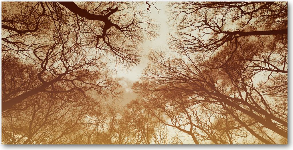 Tulup Leinwandbild - 120x60 cm - Wandkunst - Drucke auf Leinwand - Leinwanddruck - Blumen & Pflanzen - Braun - Wald