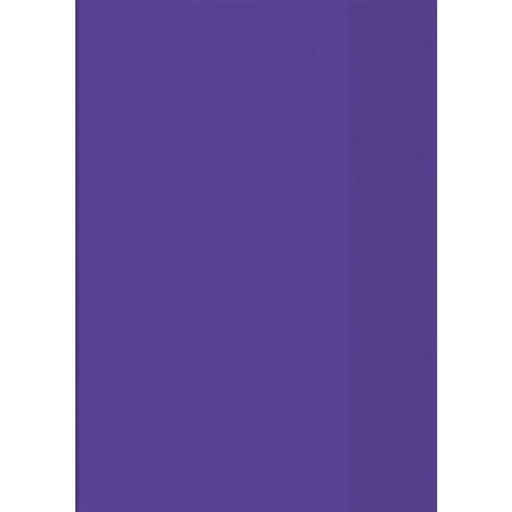 Pochette de classement A4 violette résistante et porte-document utile