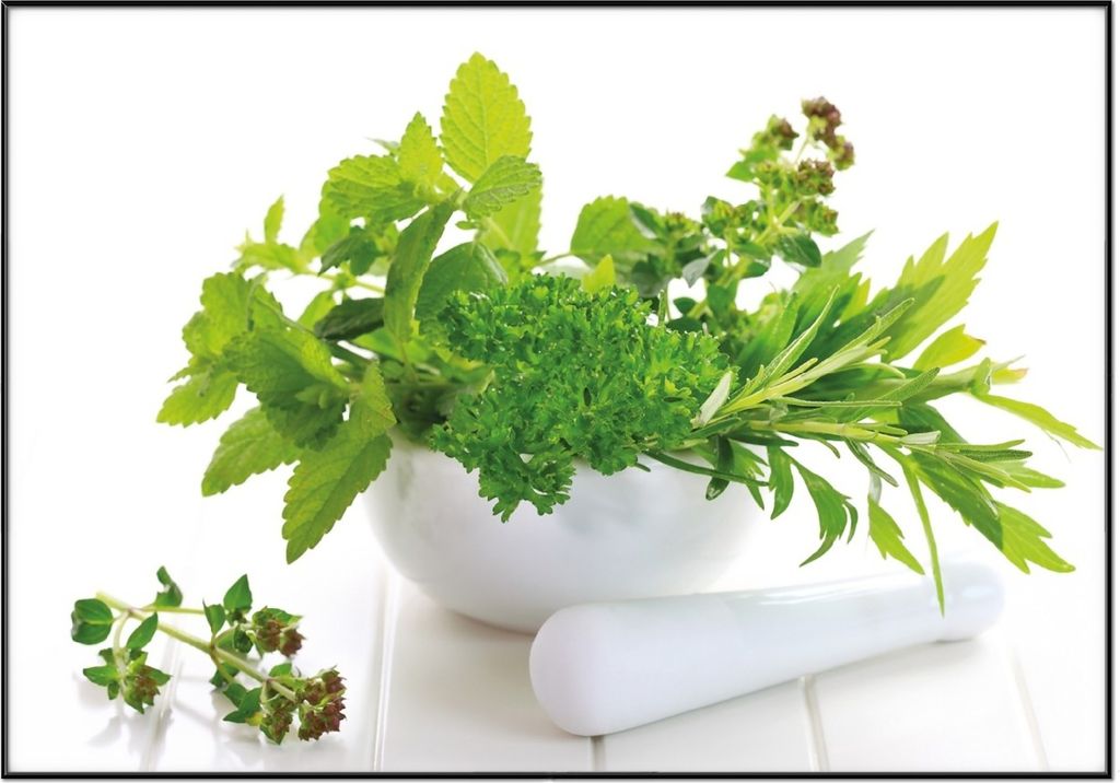 Wallario Wandbild Welt der Kräuter - verschiedene Kräuter in einem weißen Mörser, Größe: 70,30 x 100,30 cm, Poster mit schwarzem Aluminiumrahmen