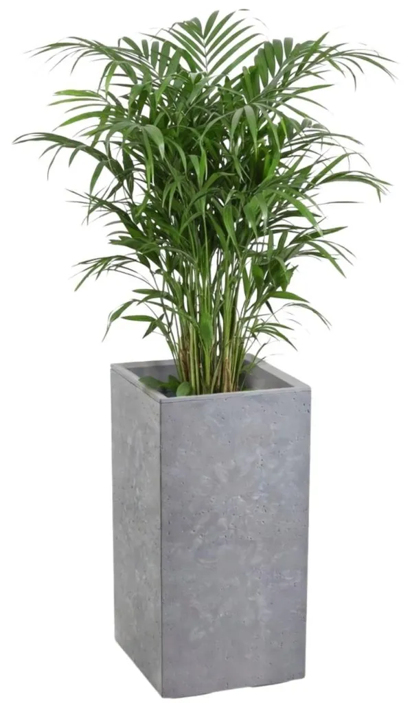 Grand pot de fleurs 60cm gris aspect béton design robuste et pratique
