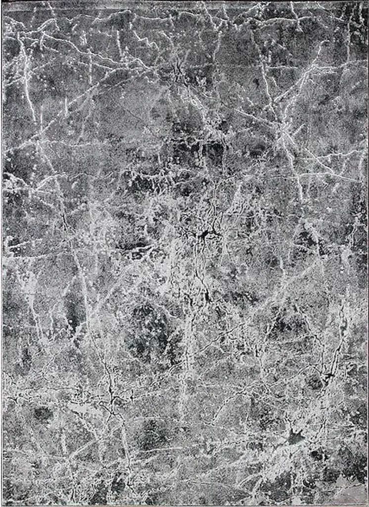 Tapis de Salle à Manger Elite 4355 Gris 160x220 - Déco Salon Chaleureuse