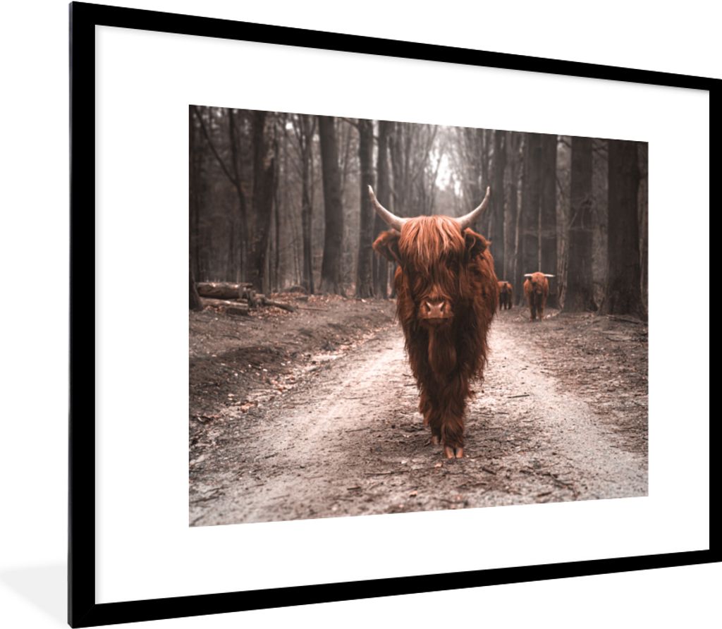 MuchoWow Gerahmtes Poster Schottischer Hochländer - Wald - Kuh - Tiere - Natur 80x60 cm - Poster mit Schwarzem Bilderrahmen Wandposter Rahmen Fo...