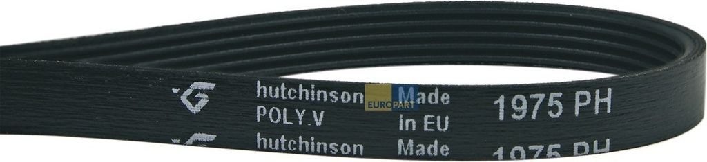 Europart Keilrippenriemen 1975 PH 5 ZANUSSI 379011200/1 ALTERNATIVE für Trockner