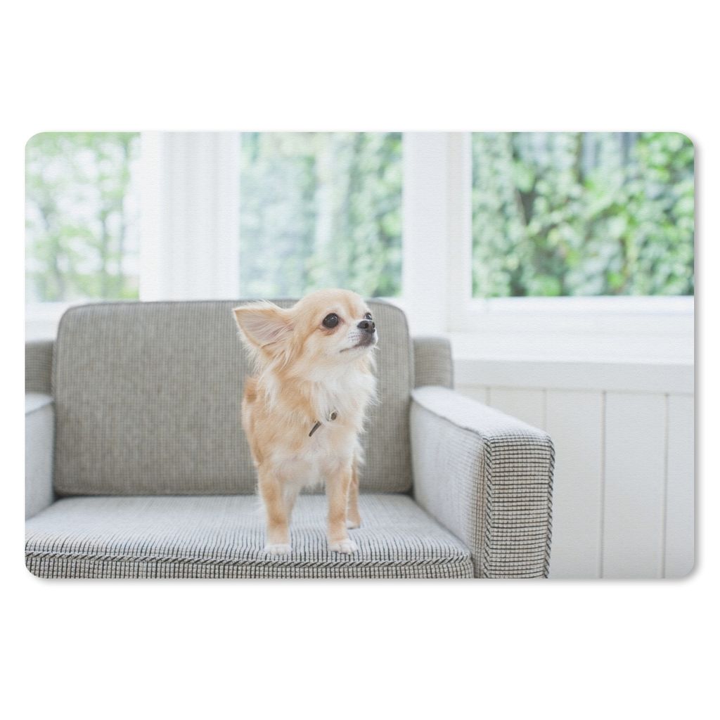 MuchoWow Mauspad Mousepad Ein Chihuahua auf einem grauen Stuhl 27x18 cm - Mousepads - Maus Mat - Pad - Mausunterlage - Büroartikel - Desk Matten