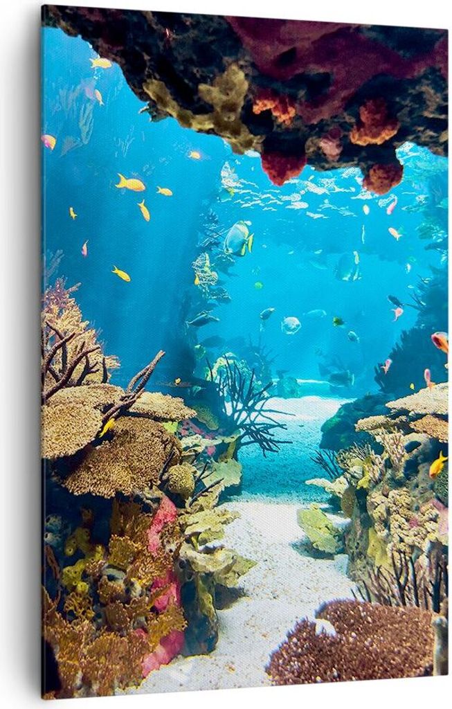 Bild auf Leinwand - Leinwandbild - Einteilig - Ozean Riff Fische Koralle - 80x120cm - Wand Bild - Wanddeko - Wandbilder - Leinwanddruck - Wanddekor...